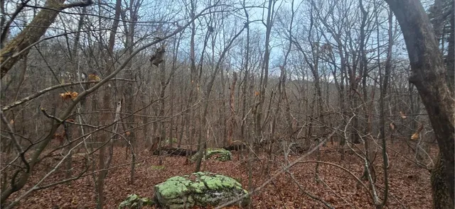 $179,000 | 827 Dale Trail, Cloudland, GA 30731