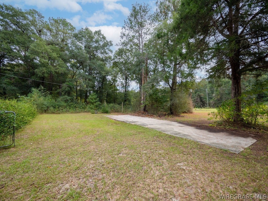 808 Old Newton Road Daleville, AL 36322 - Photo 31 of 33 Gallery Image 31