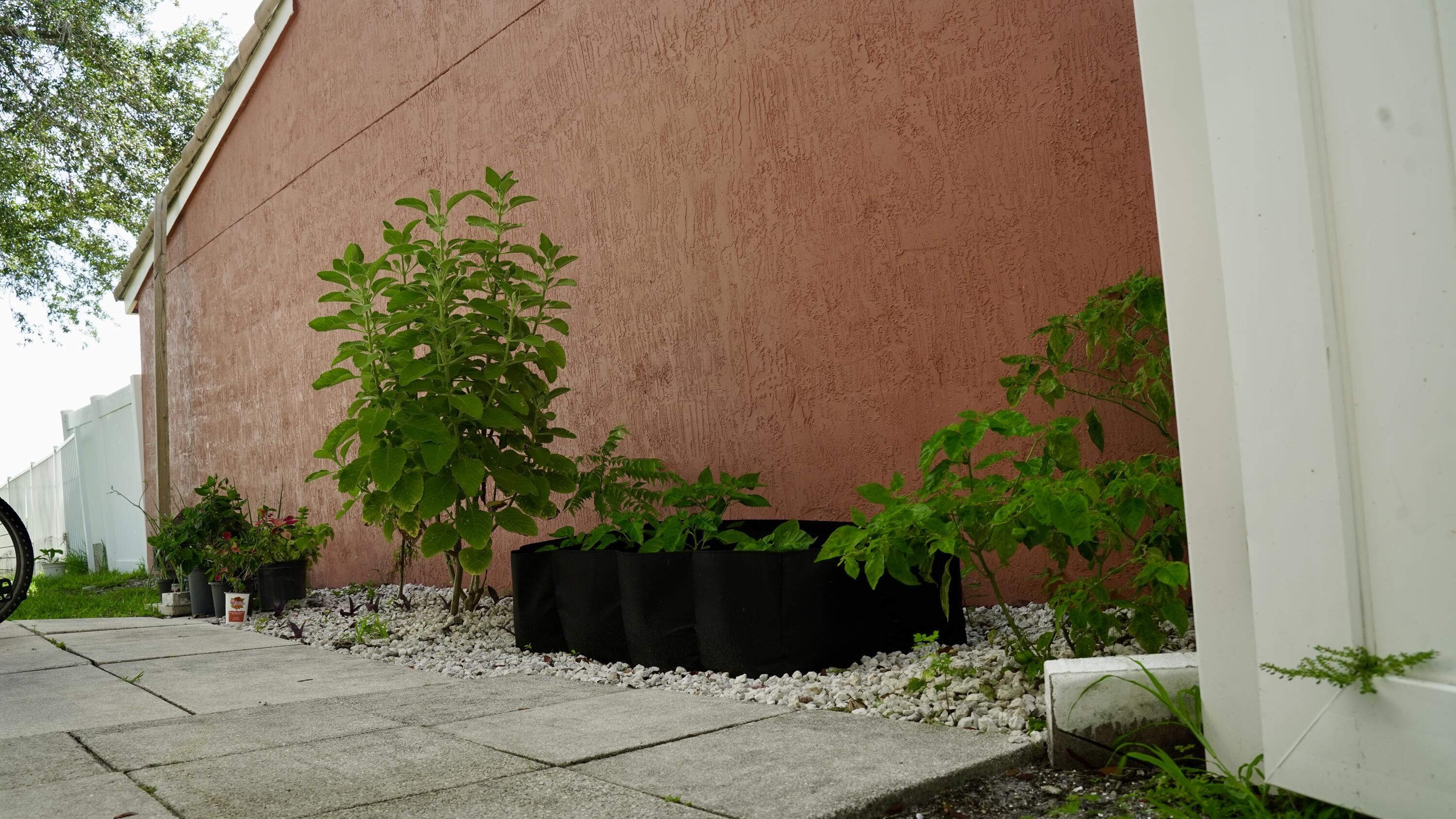3290 Turtle Cove West Palm Beach, FL 33411 - Photo 13 of 55 a view of a backyard with plants
