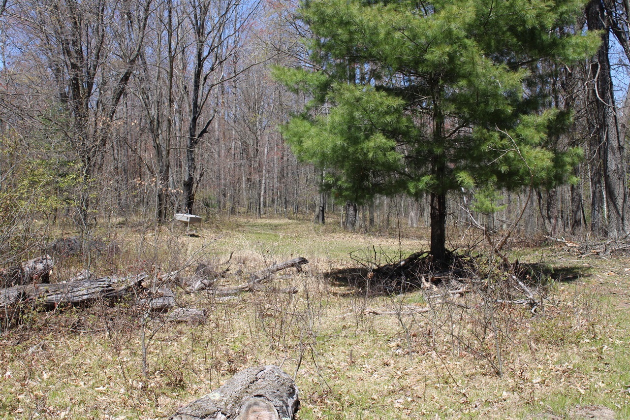 11401 Little George Lake Road Gladwin, MI 48624 - Photo 53 of 72