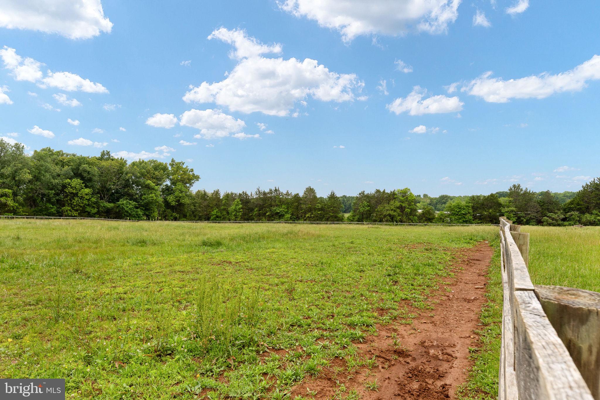 6119 Beach Road Midland, VA 22728 - Photo 96 of 98 a view of a lake from a yard