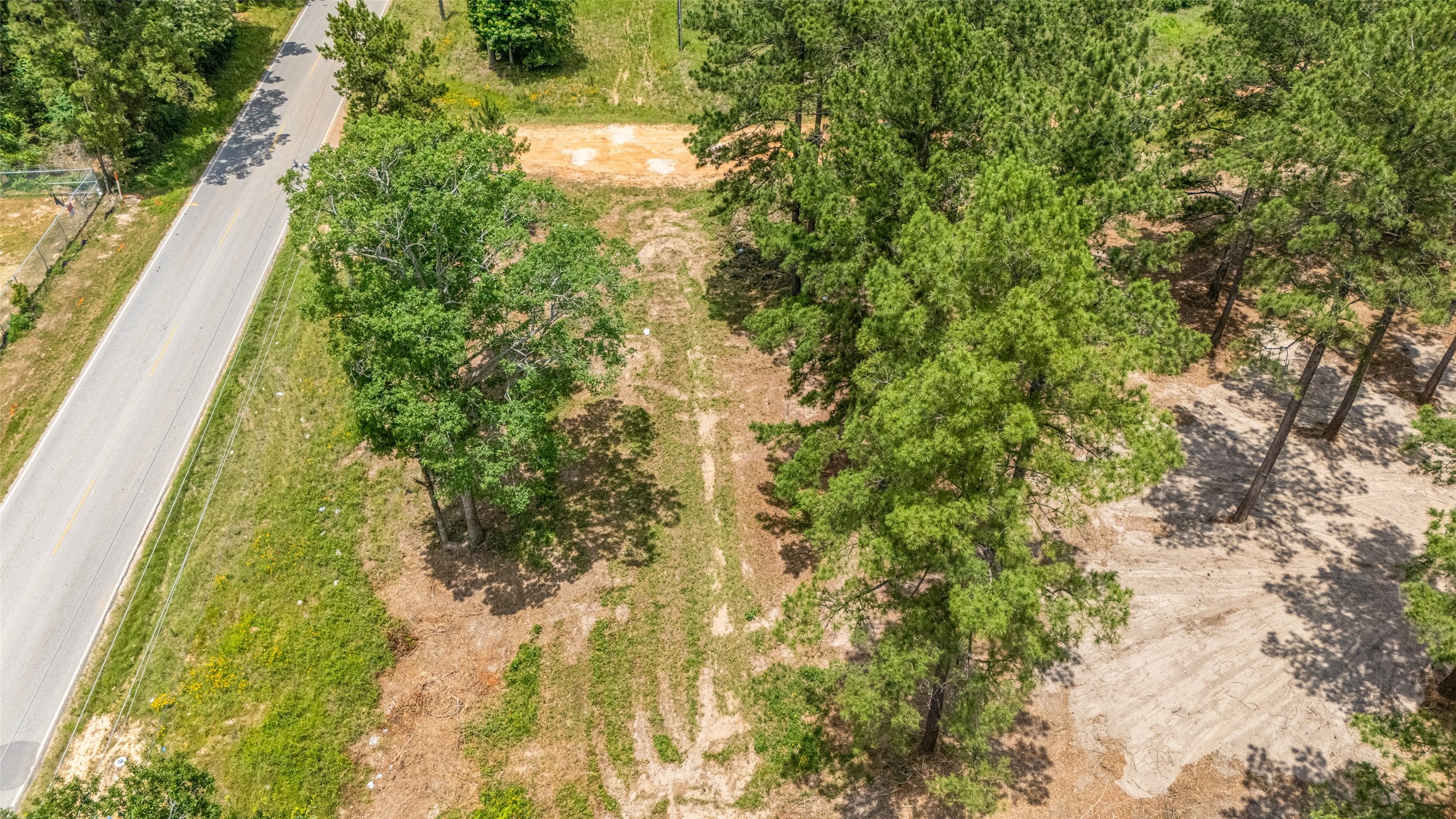13907 Willis Waukegan Road Conroe, TX 77303 - Photo 3 of 18 a close up of a plant in a garden