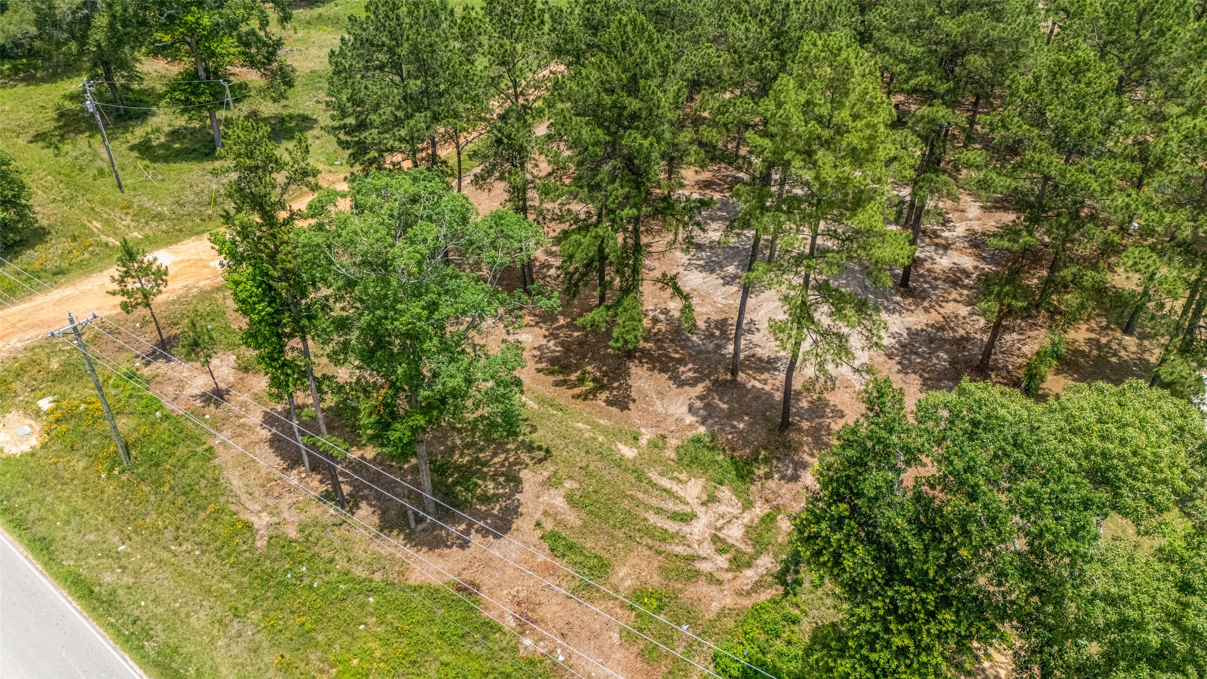 13907 Willis Waukegan Road Conroe, TX 77303 - Photo 7 of 18