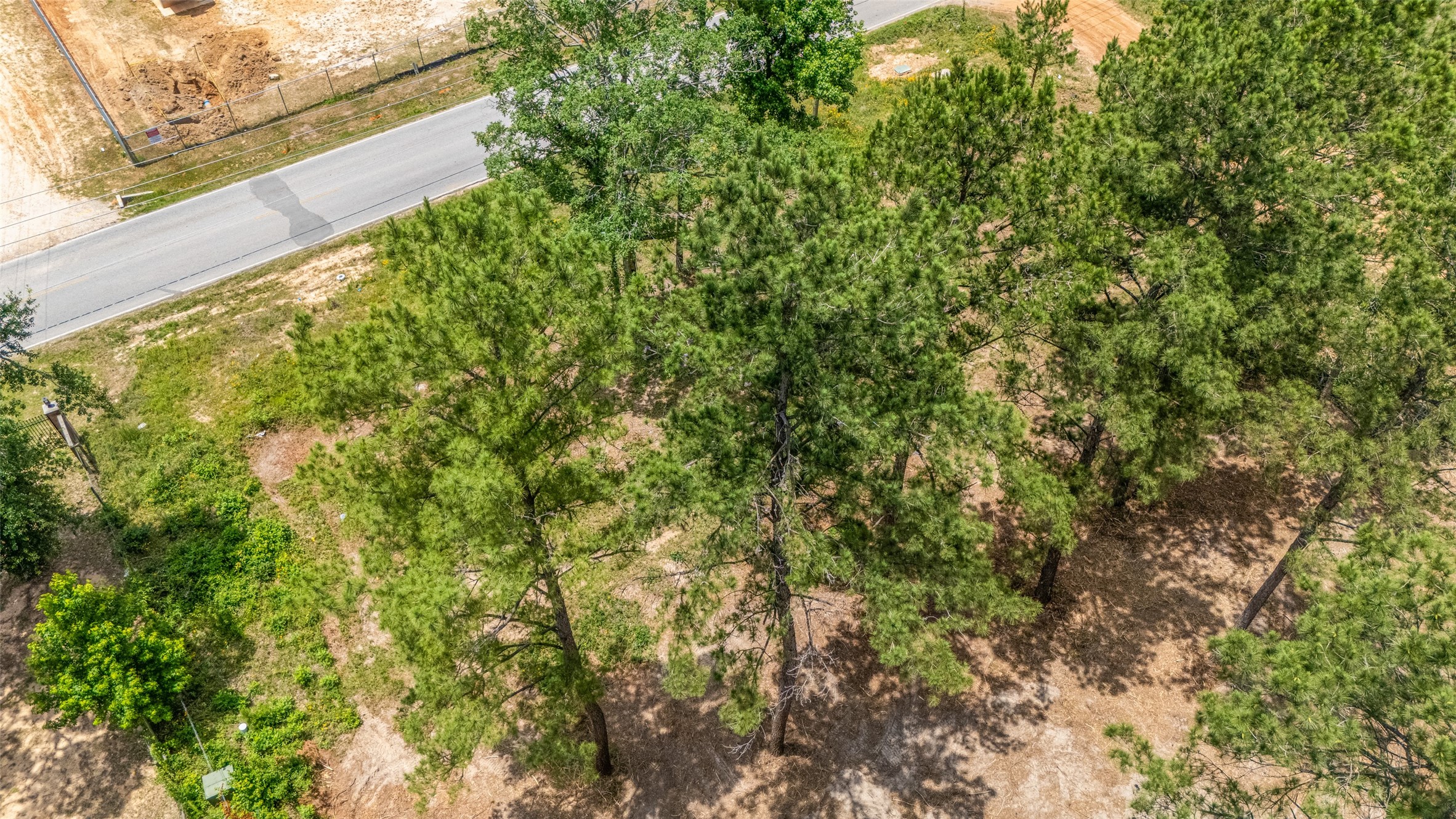 13907 Willis Waukegan Road Conroe, TX 77303 - Photo 8 of 18 a view of a garden