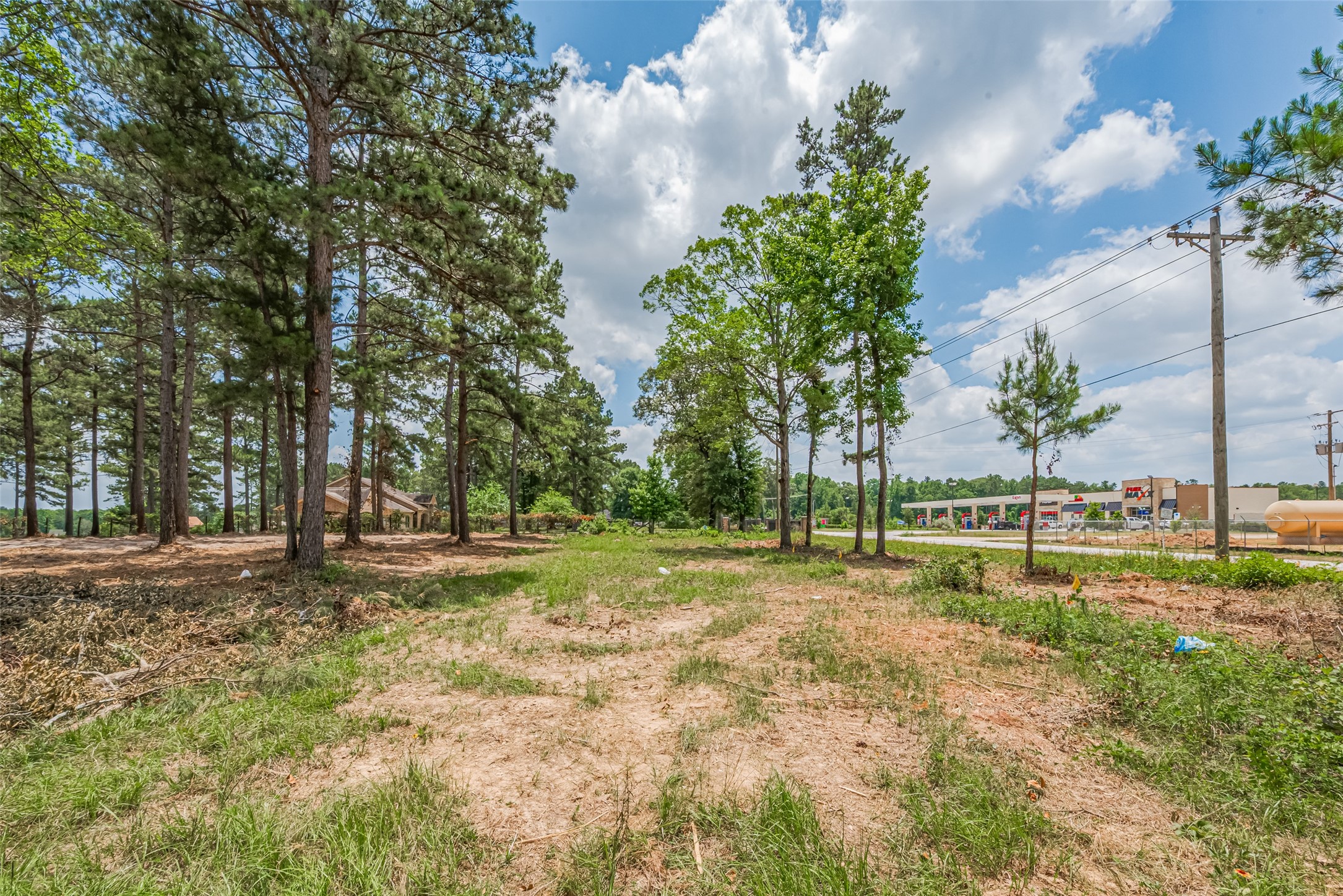 13907 Willis Waukegan Road Conroe, TX 77303 - Photo 9 of 18 a view of a park with large trees