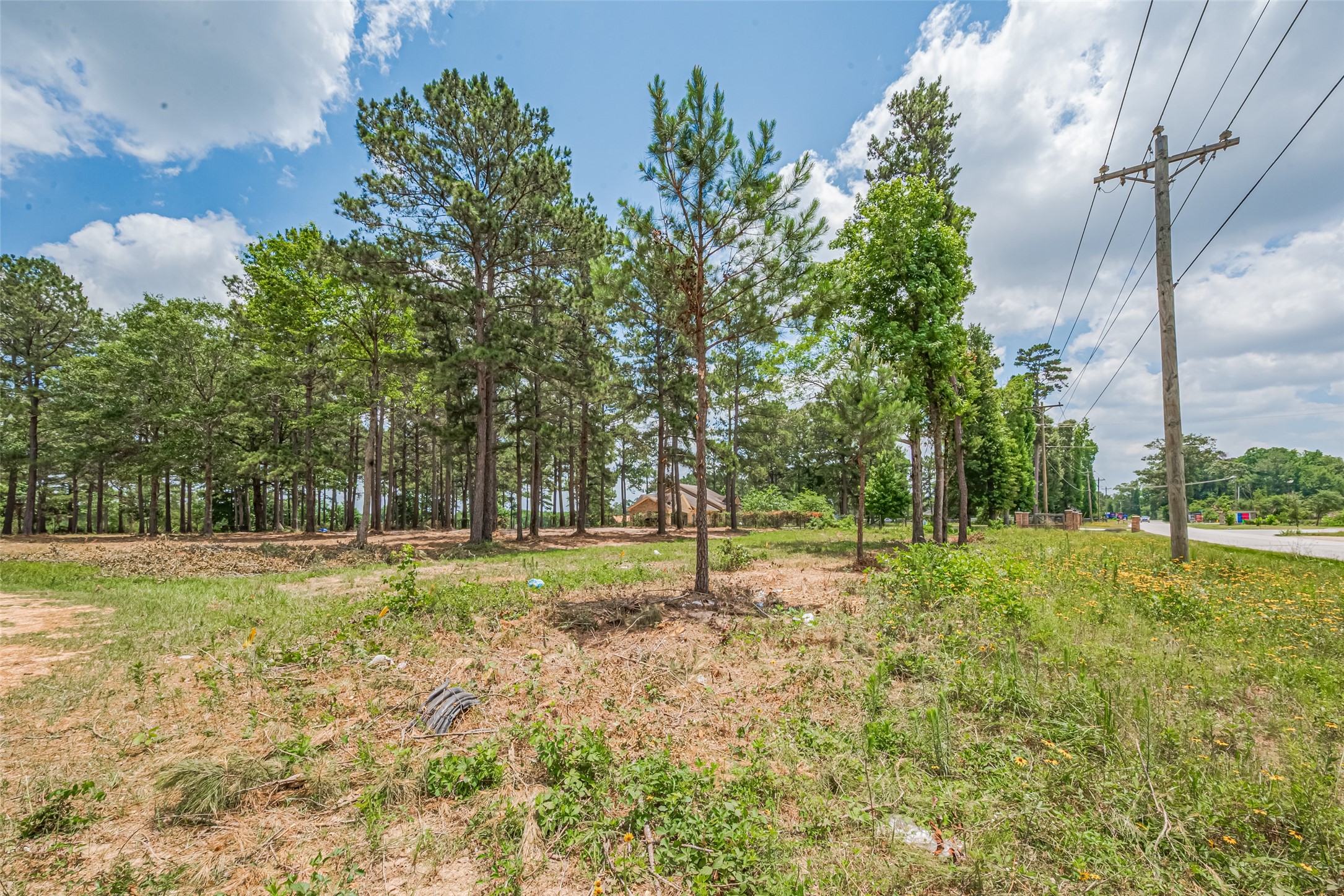13907 Willis Waukegan Road Conroe, TX 77303 - Photo 10 of 18 a view of a park with large trees
