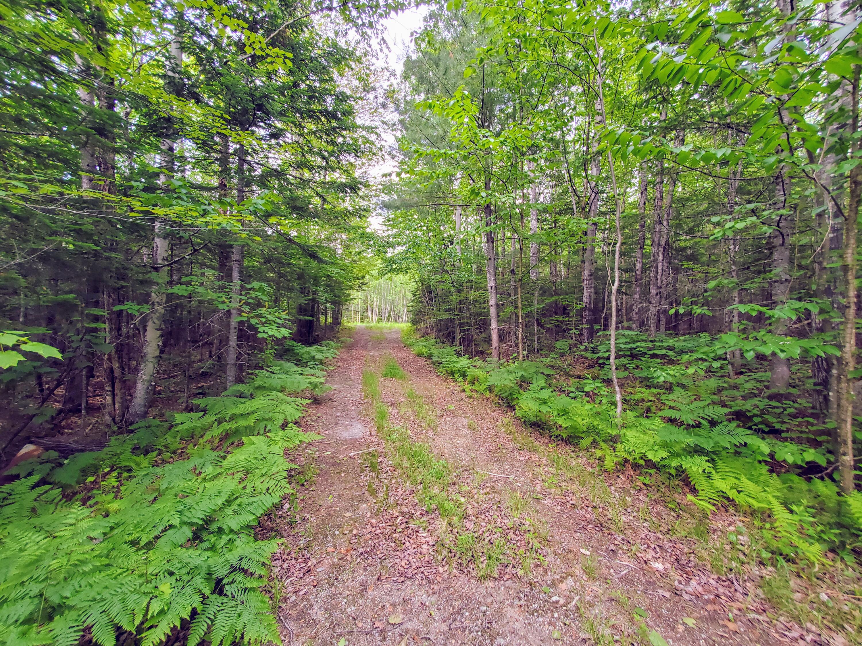 M1 L14 Old County Road New Portland, ME 04961 - Photo 10 of 26 20220611_161536