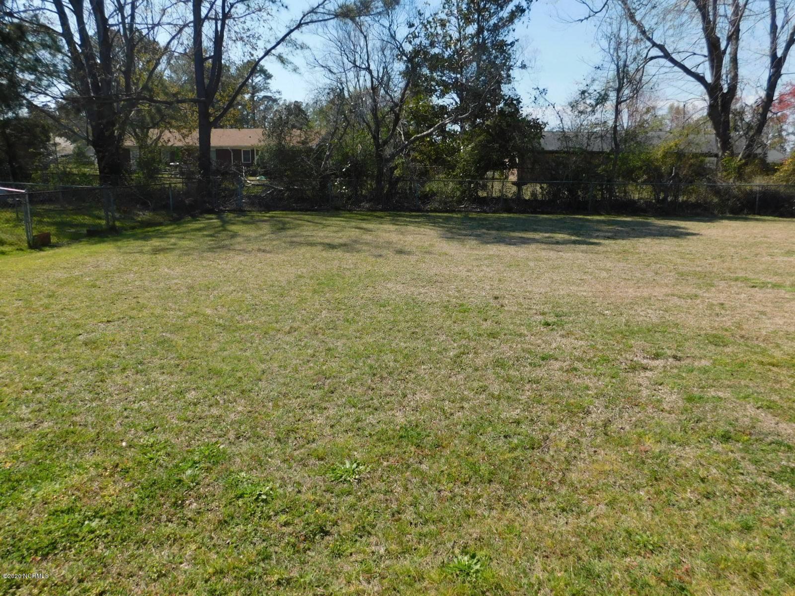 127 Shipman Road Havelock, NC 28532 - Photo 24 of 30 Large Yard