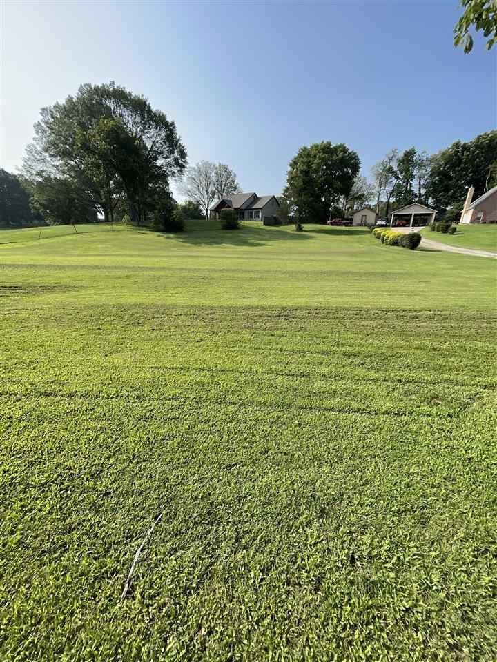 a view of an ocean from a yard
