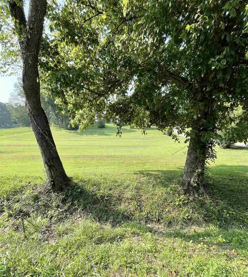 48 Stafford Road Brighton, TN 38011 - Photo 2 of 4 a view of a garden with an ocean
