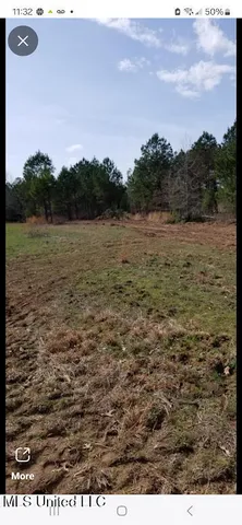 $54,000 | 2904 Pisgah Road, Weir, MS 39772