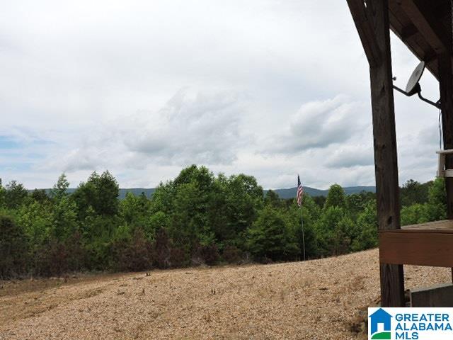 1328 Good Hope Delta Road Delta, AL 36258 - Photo 22 of 24