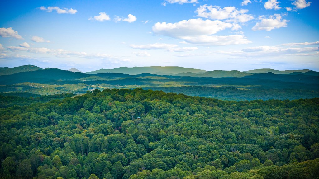 401 Sunrock Mountain Trace Blue Ridge, GA 30513 - Photo 2 of 80 Gallery Image 2
