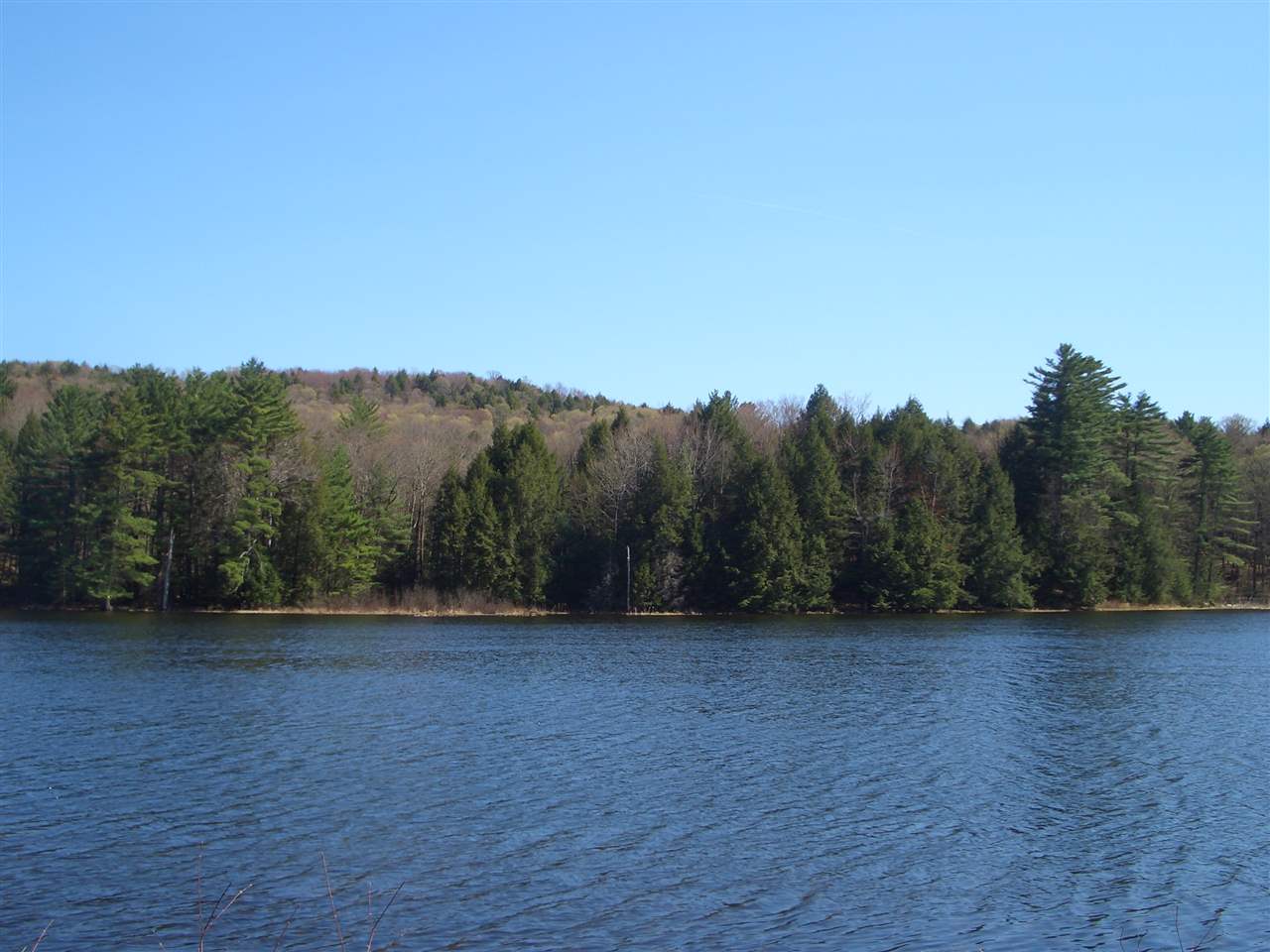 224 Black Pond Road Hubbardton, VT 05743 - Photo 3 of 29