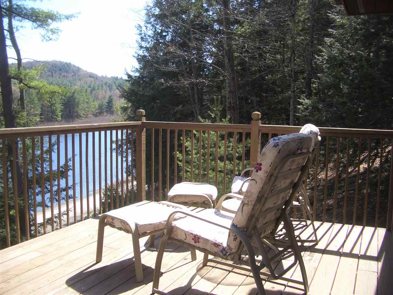 224 Black Pond Road Hubbardton, VT 05743 - Photo 23 of 29