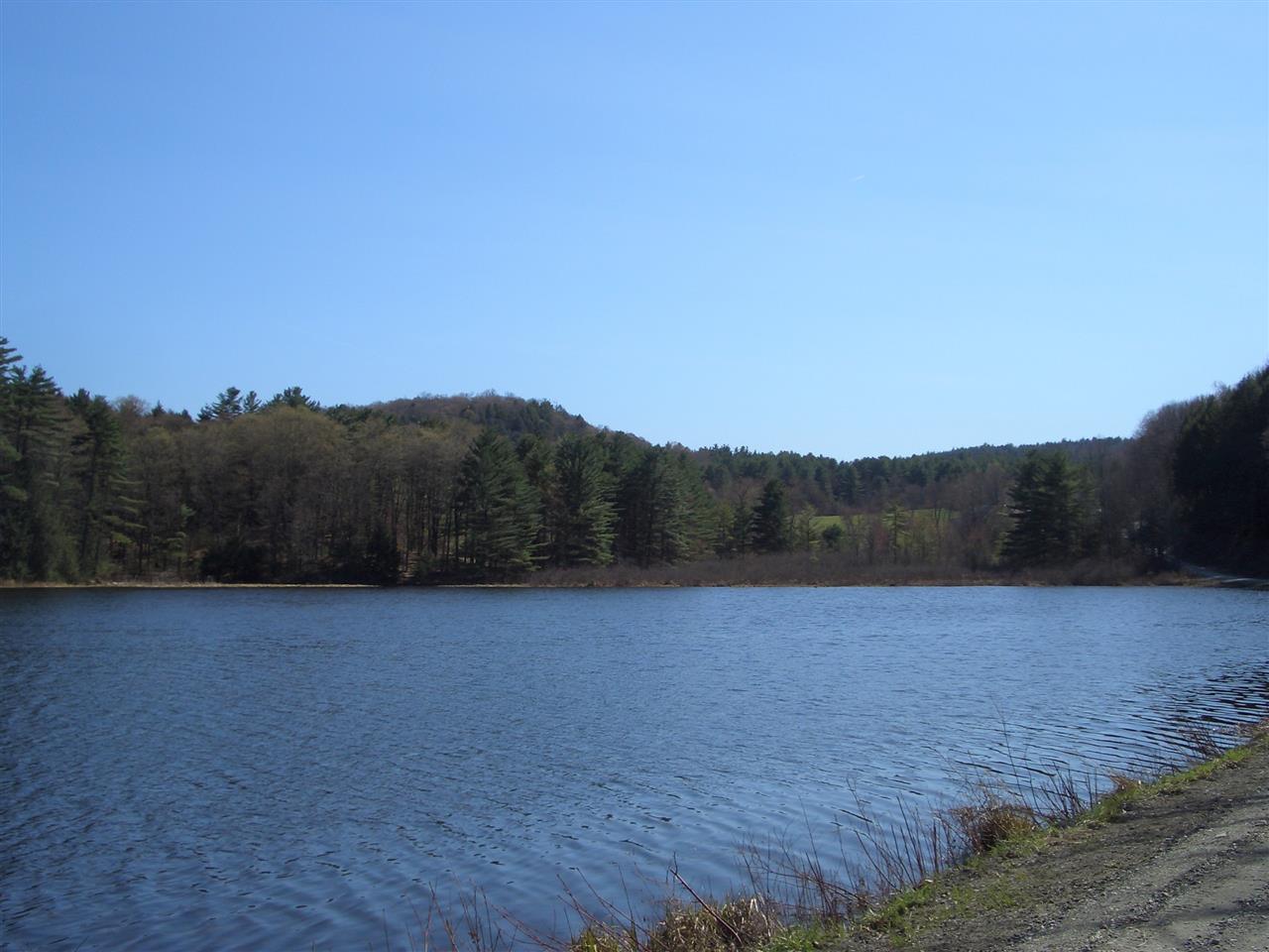 224 Black Pond Road Hubbardton, VT 05743 - Photo 25 of 29