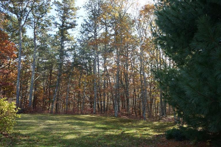 252 Cranview Road Brewster, MA 02631 - Photo 22 of 31 Additional Photo