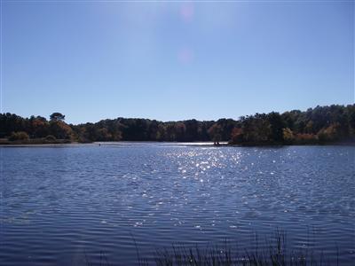 252 Cranview Road Brewster, MA 02631 - Photo 28 of 31 Additional Photo