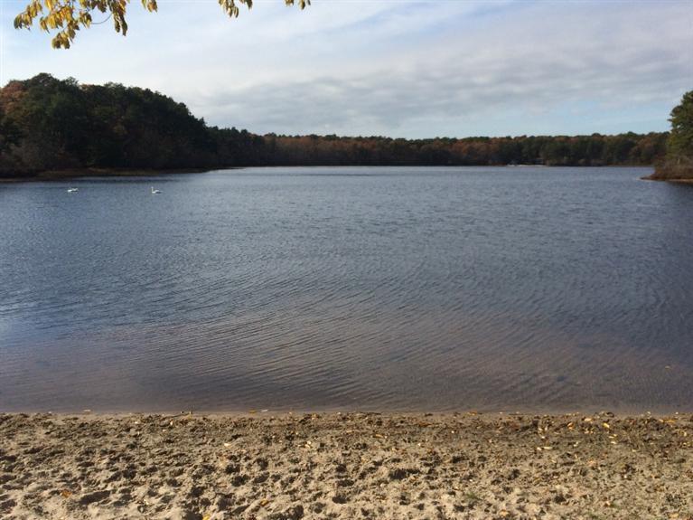 252 Cranview Road Brewster, MA 02631 - Photo 29 of 31 Additional Photo