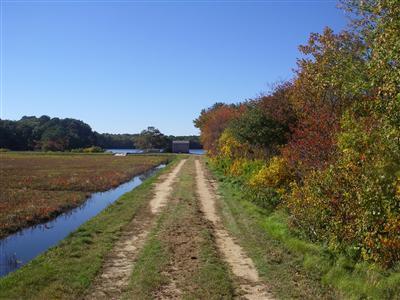 252 Cranview Road Brewster, MA 02631 - Photo 30 of 31 Additional Photo