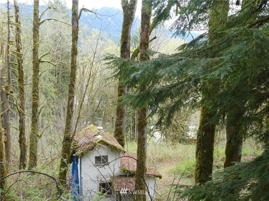 21706 Wits End Road Gold Bar, WA 98251 - Photo 14 of 19 a view of a city with lush green forest