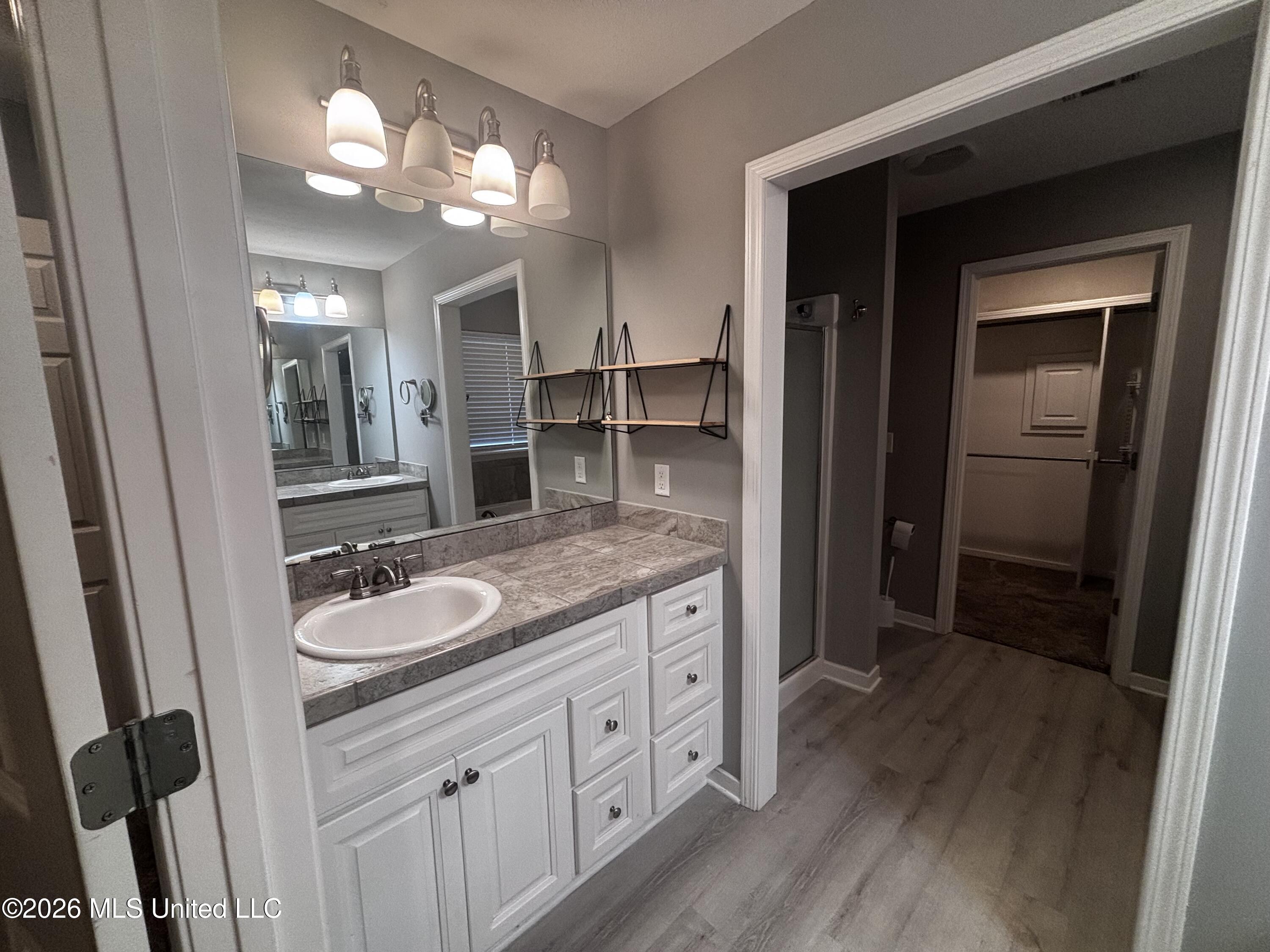1234 Addison Ln. Brandon, MS 39042 - Photo 10 of 23 Master Bathroom