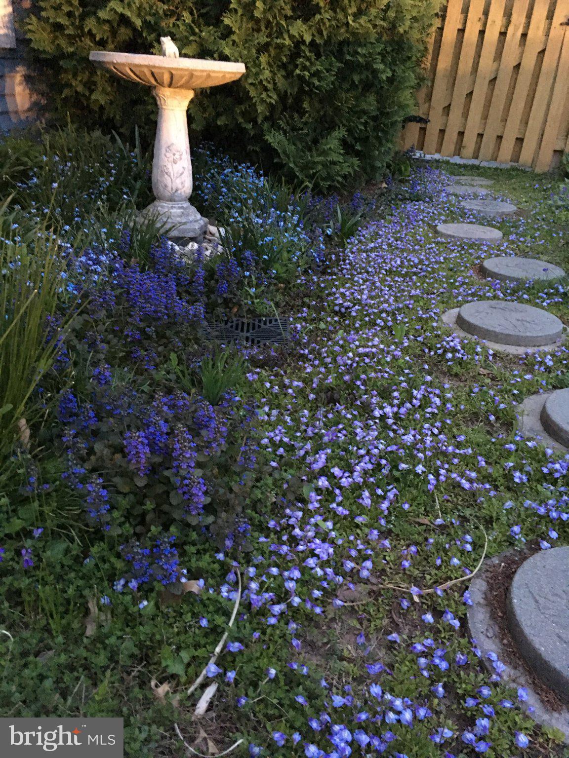 107 Carousel Circle Doylestown, PA 18901 - Photo 28 of 31