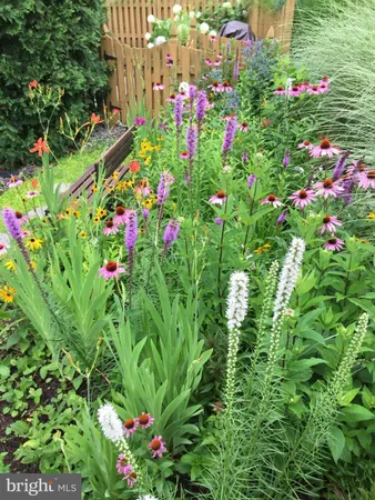 a view of flowers in the garden