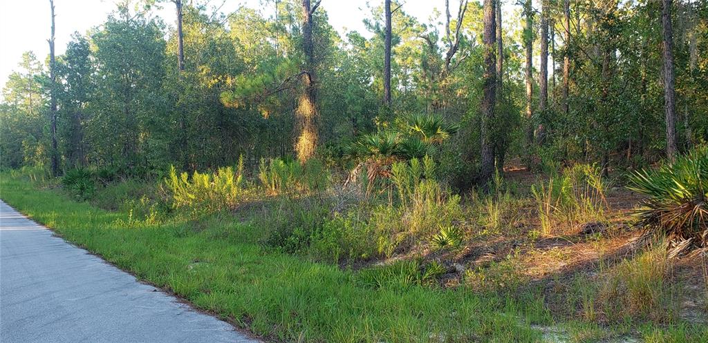 33 Southwest South View Dunnellon, FL 34431 - Photo 1 of 1