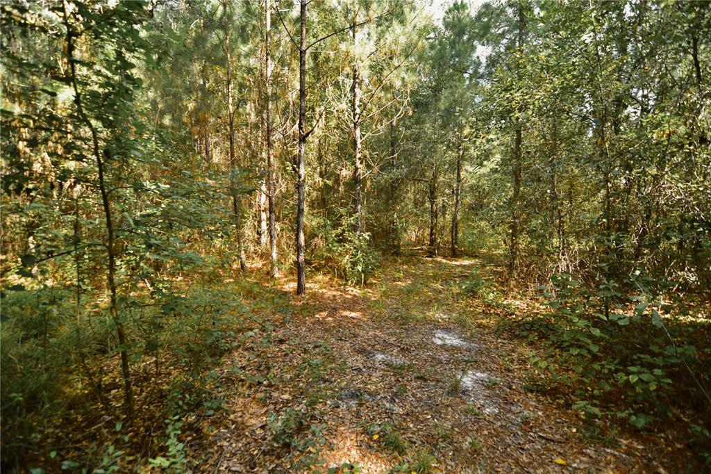 0 Old Federal Road Quincy, FL 32351 - Photo 45 of 81 Gallery Image 45