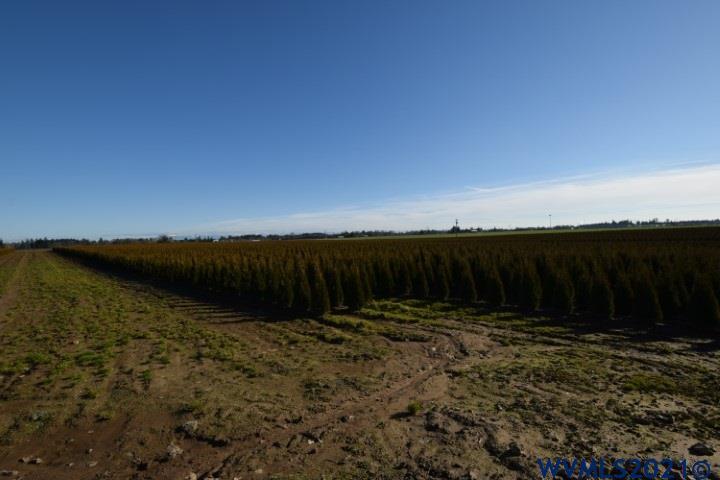22506 Bents Road Northeast Aurora, OR 97002 - Photo 24 of 33