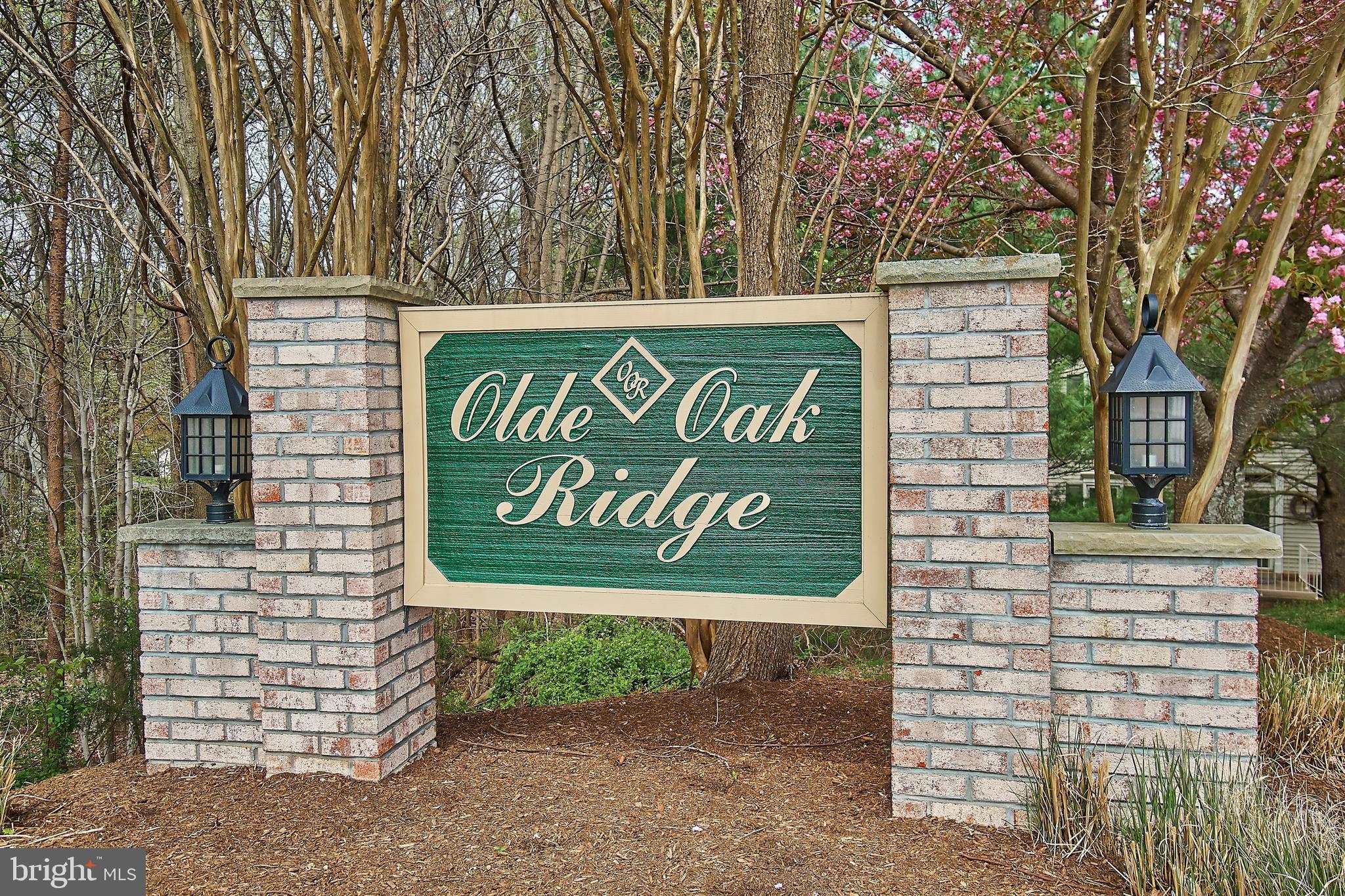 7214 Olde Lantern Way Springfield, VA 22152 - Photo 2 of 32 Location! Location! No thru street; cul de sac.