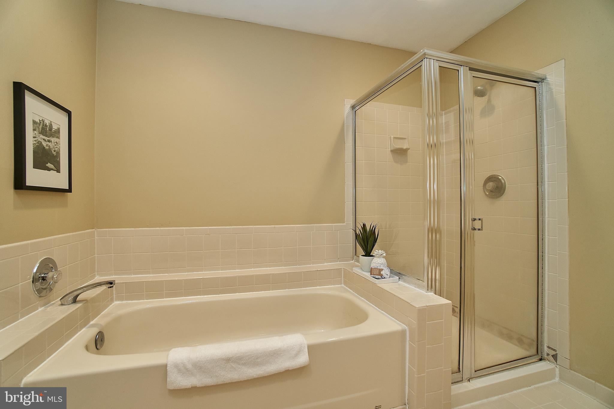 7214 Olde Lantern Way Springfield, VA 22152 - Photo 21 of 32 Separate tub and shower.