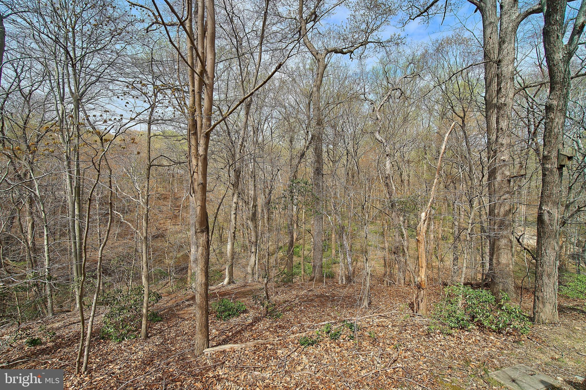 7214 Olde Lantern Way Springfield, VA 22152 - Photo 30 of 32 This home backs to parkland. Fantastic view!