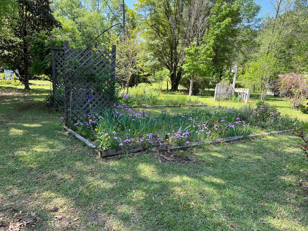 3176 Enterprise Road Summit, MS 39666 - Photo 2 of 16 Photo 2
