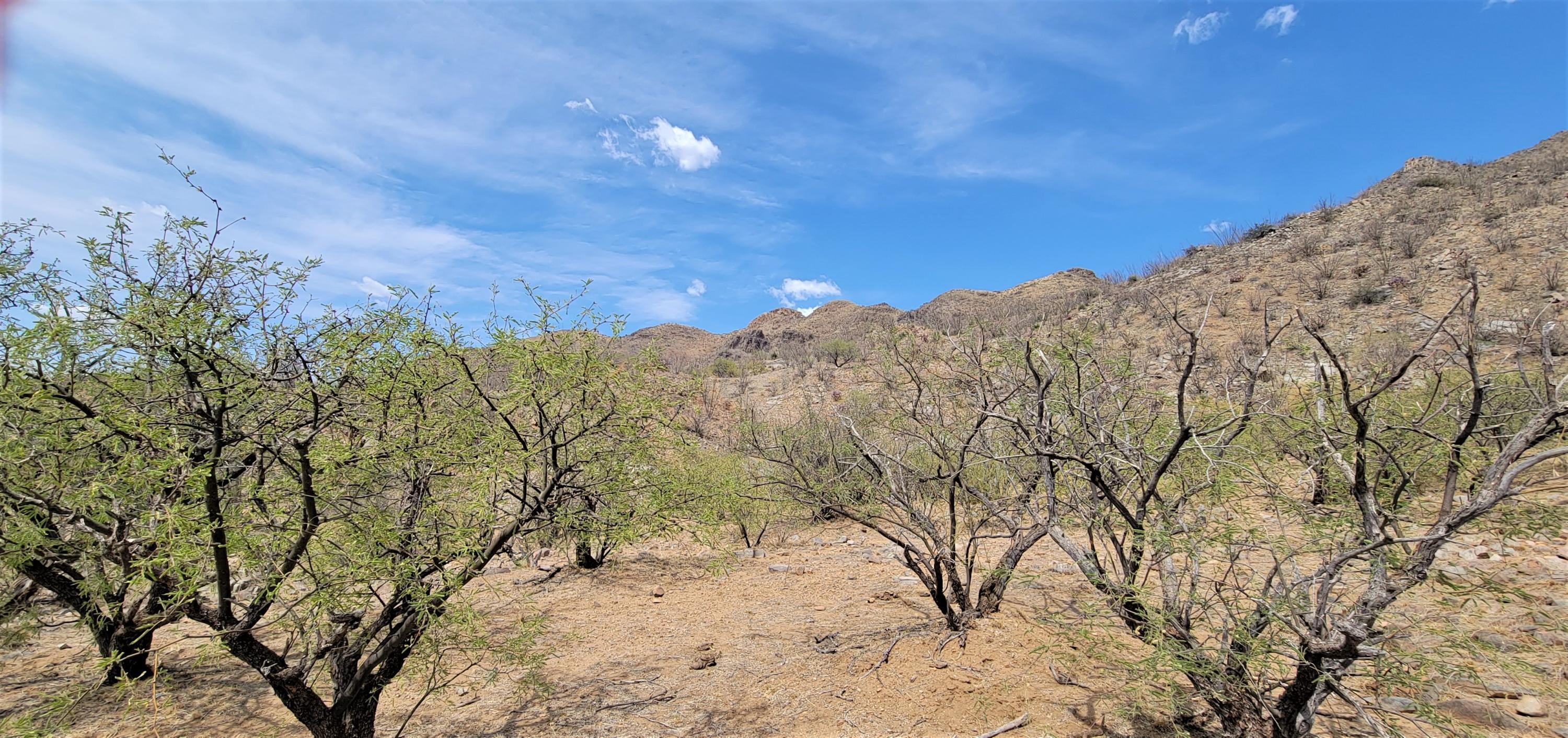 1501 Vía San Cayetano, Unit 25 Rio Rico, AZ 85648 - Photo 7 of 16