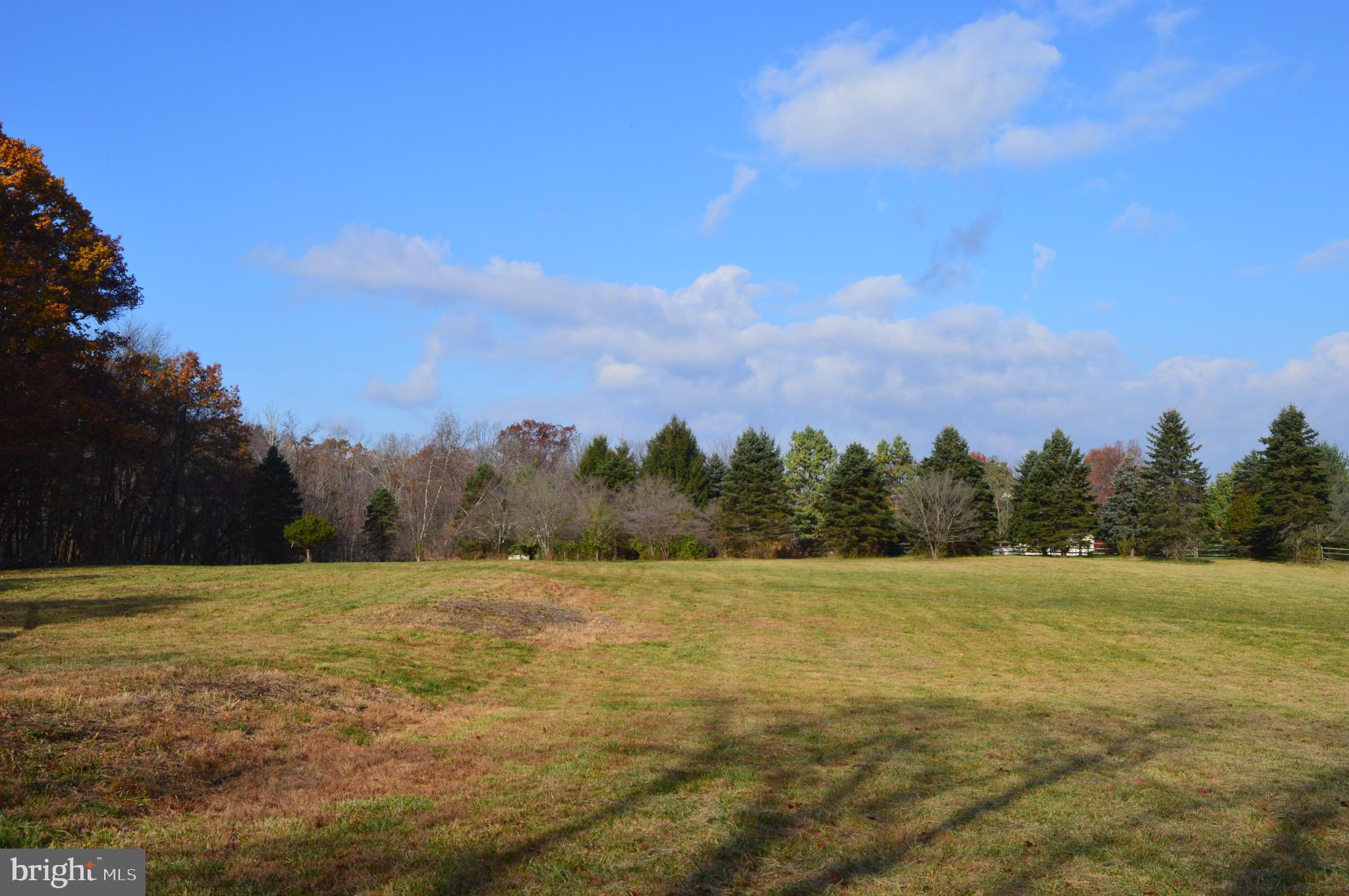 1155 Mt Eyre Road Washington Crossing, PA 18977 - Photo 2 of 2 a view of a field with trees in the background