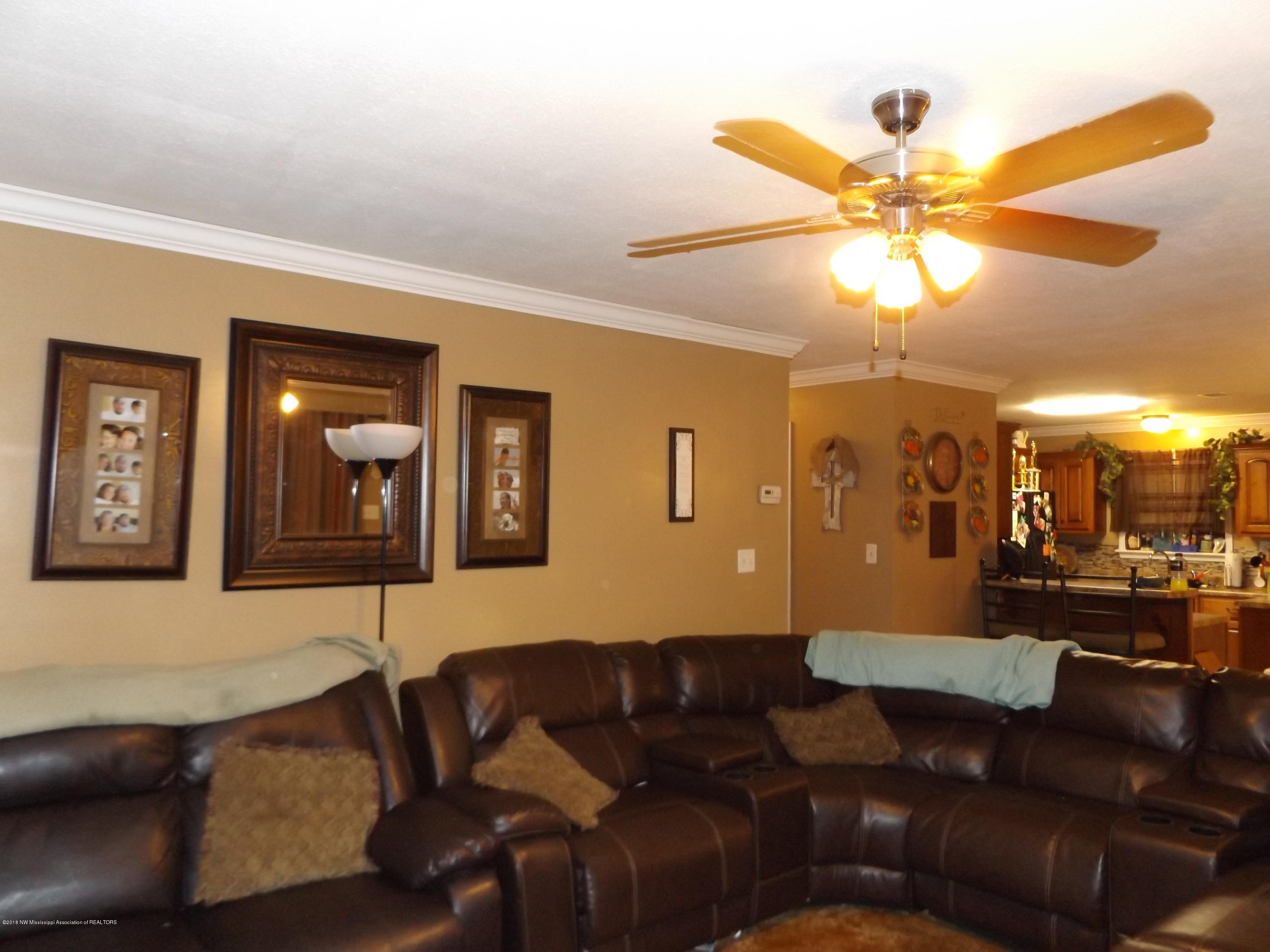 254 Longtown Road Sarah, MS 38665 - Photo 8 of 29 DSCF1813