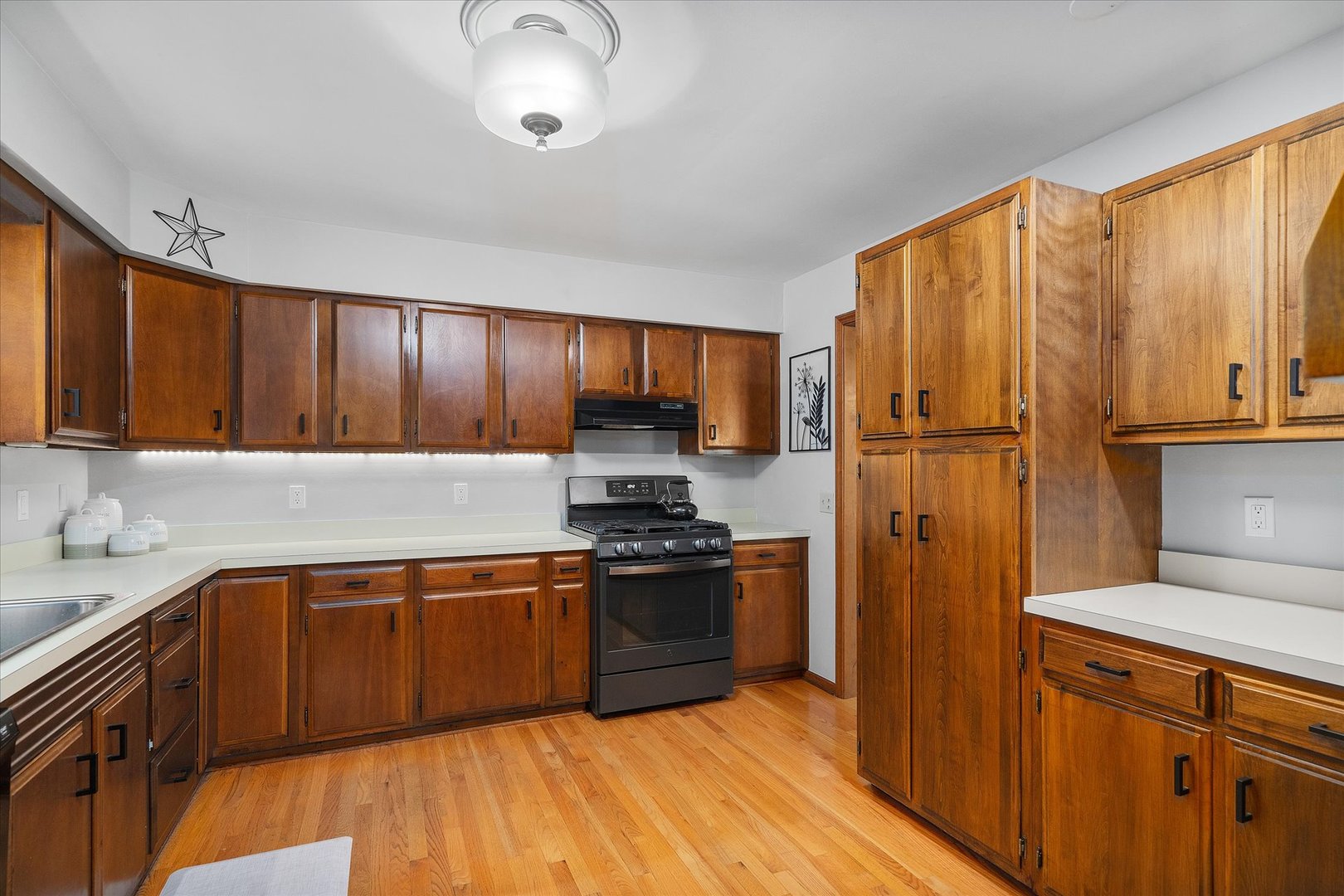 43W371 Thornapple Tree Road Sugar Grove, IL 60554 - Photo 7 of 35