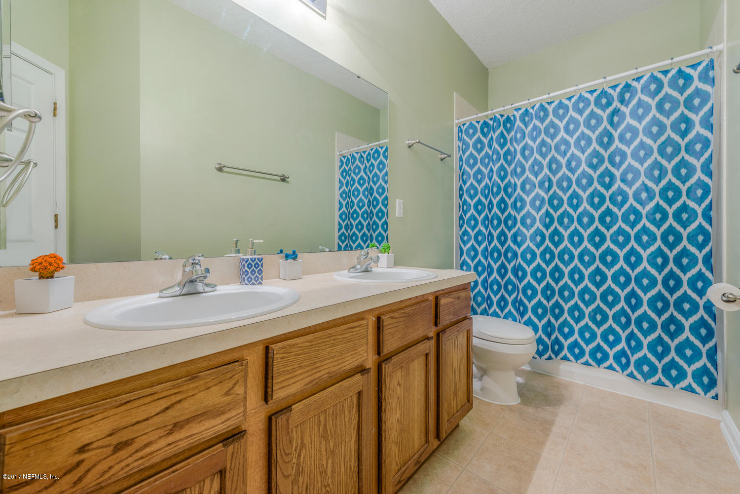 9170 Raptor Drive Jacksonville, FL 32221 - Photo 25 of 31 a bathroom with a sink a toilet and a mirror