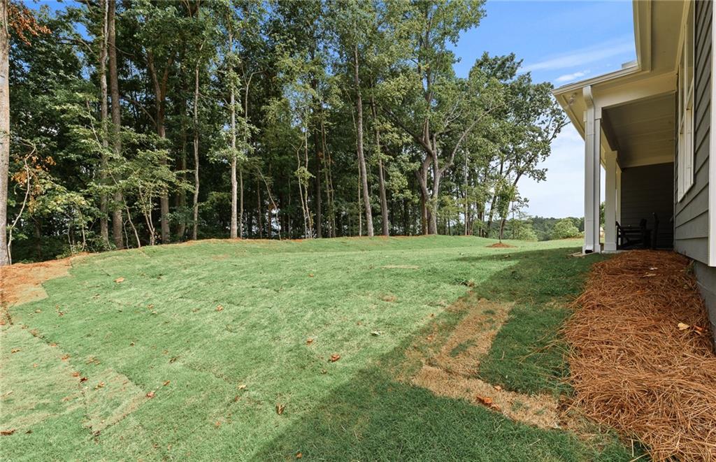 319 Canoe Place Villa Rica, GA 30180 - Photo 36 of 38 a backyard of a house with lots of green space