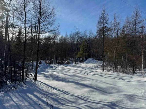 $49,000 | Lot 2 North Eaton Road, Hayward, WI 54843