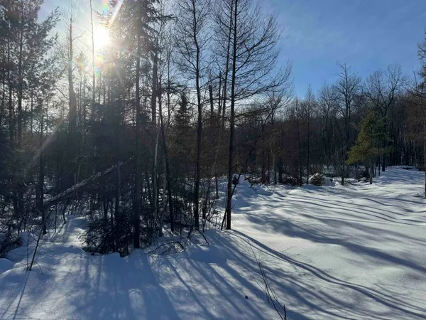$49,000 | Lot 2 North Eaton Road, Hayward, WI 54843