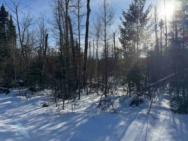 $49,000 | Lot 2 North Eaton Road, Hayward, WI 54843