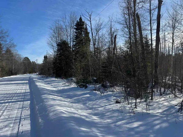 $49,000 | Lot 2 North Eaton Road, Hayward, WI 54843