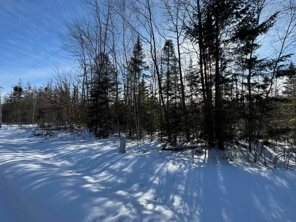 $49,000 | Lot 2 North Eaton Road, Hayward, WI 54843