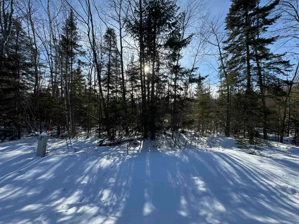 $49,000 | Lot 2 North Eaton Road, Hayward, WI 54843