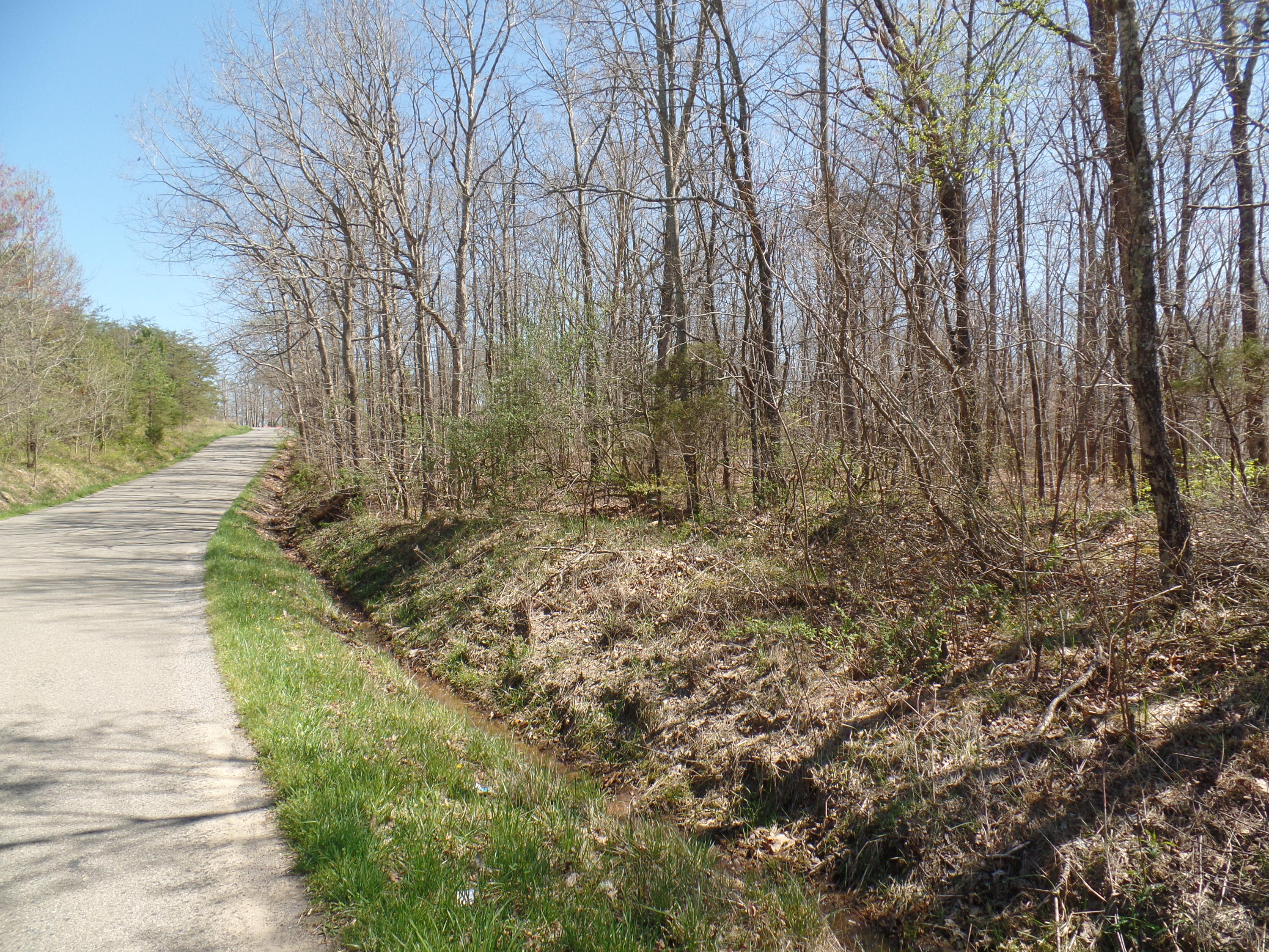 8 Walkertown Road Dayton, TN 37321 - Photo 3 of 7 SAM_1326