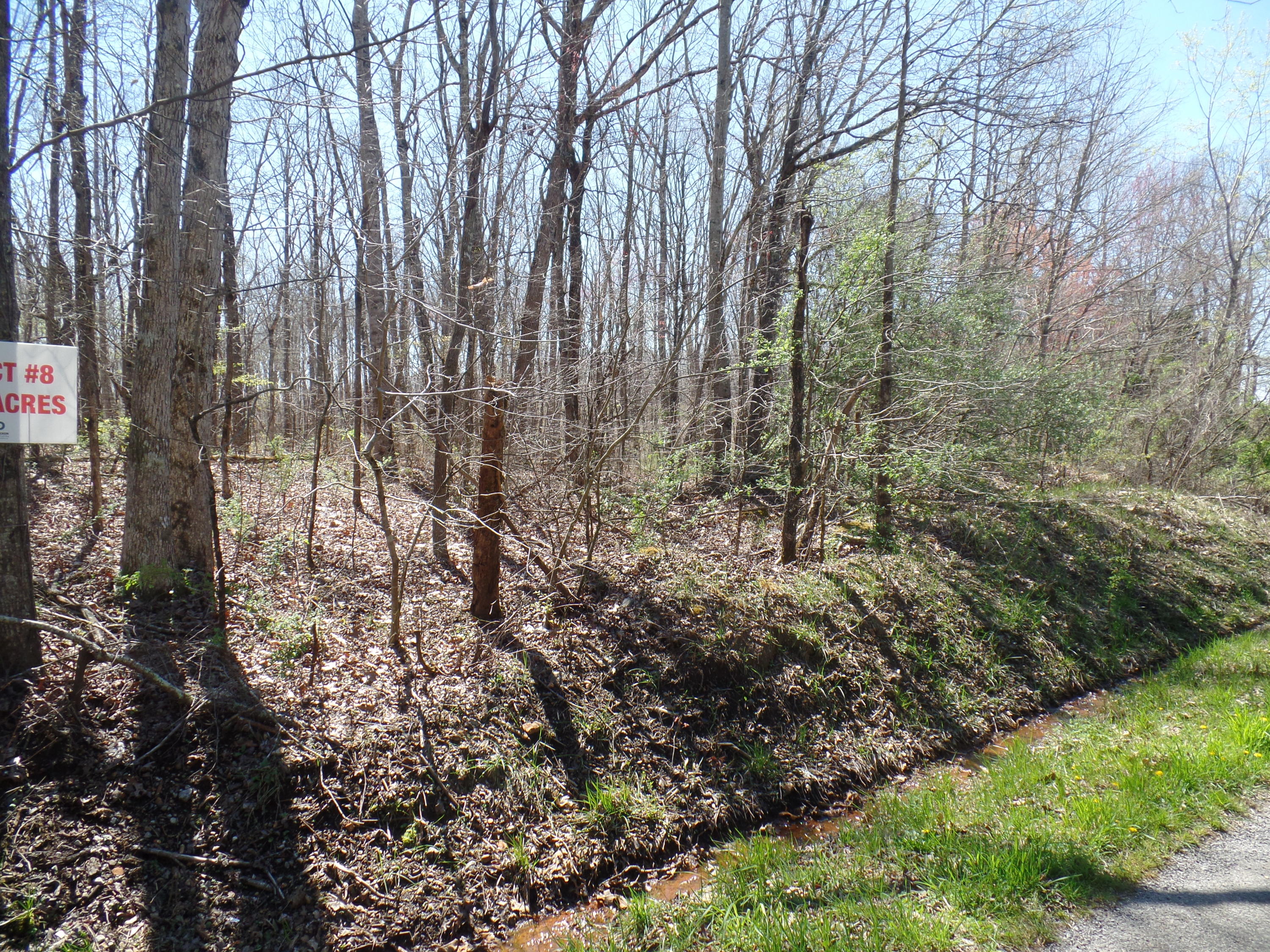 8 Walkertown Road Dayton, TN 37321 - Photo 5 of 7 SAM_1328