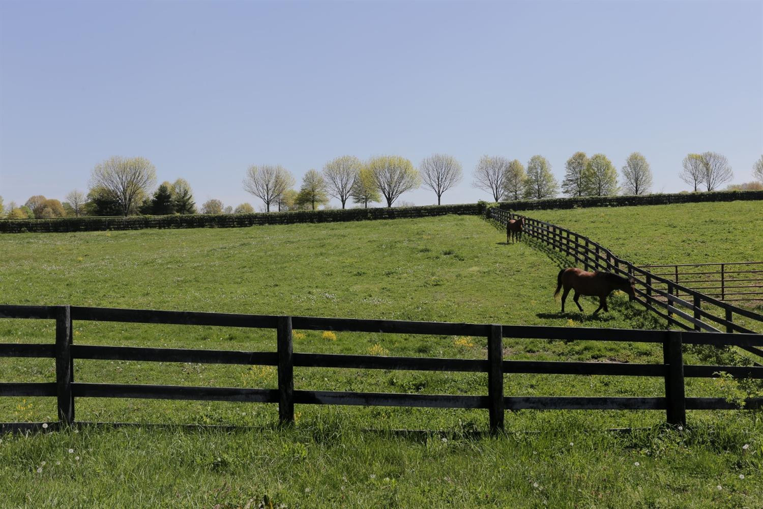 3180 Delong Road Lexington, KY 40515 - Photo 25 of 41 Listing Photo